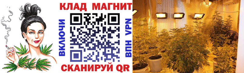Наркошоп купить Бошки Шишки МЕФ Гашиш Ростов